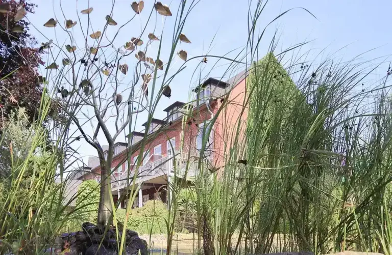 Hotel be active zwischen Schilf, Außenansicht