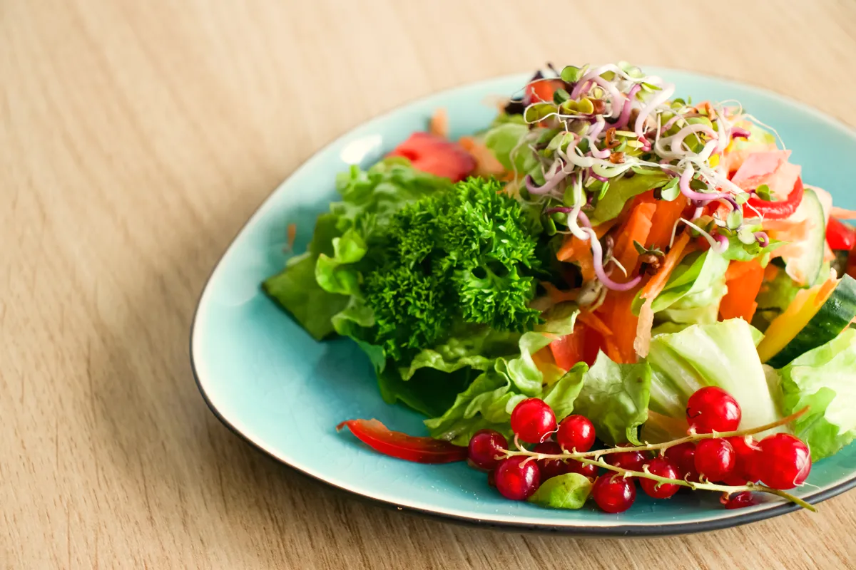 Frischer Salat mit Sprossen und Johannisbeeren im Hotel be natural